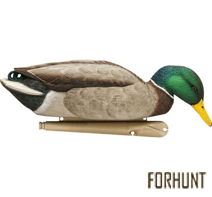 Форхант