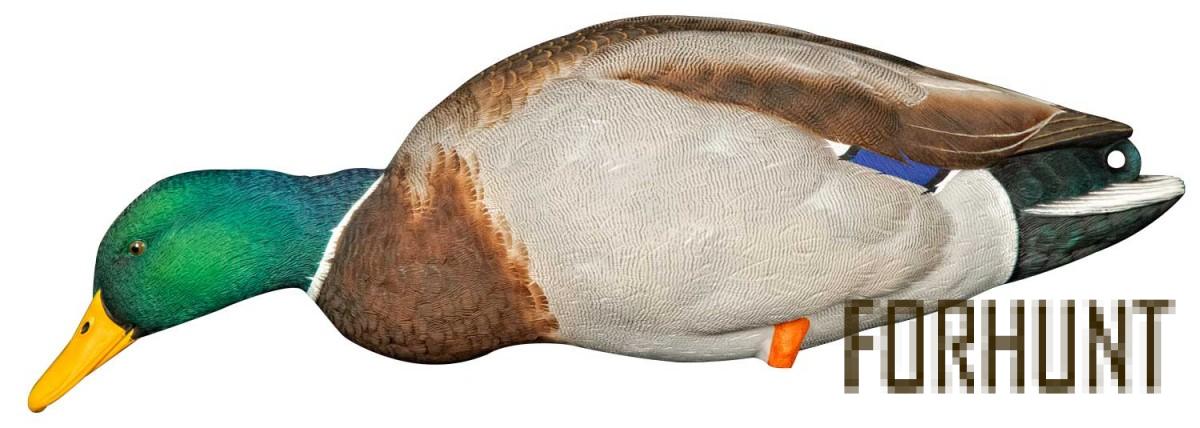 Форхант