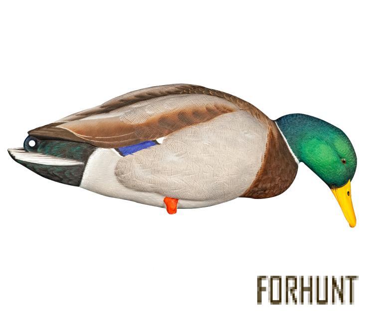 Форхант