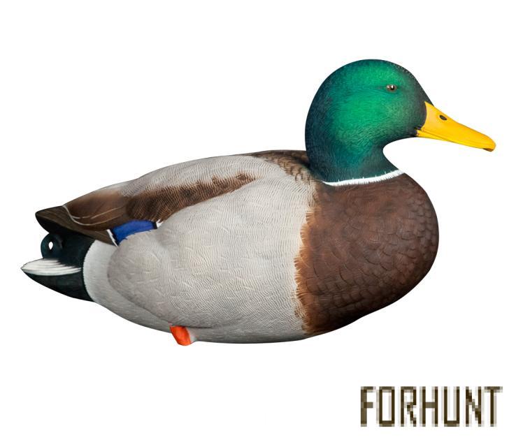 Форхант