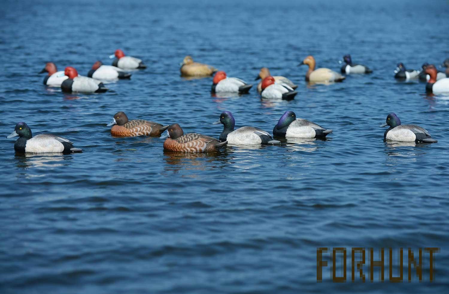 Форхант