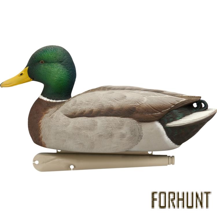 Форхант