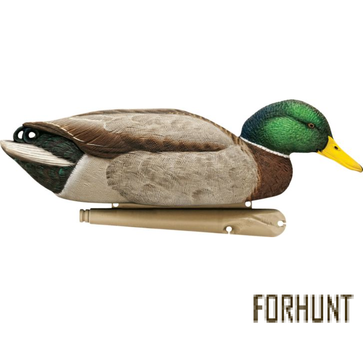 Форхант
