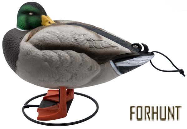 Форхант
